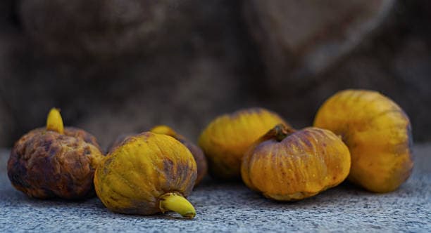 تصویر 1 از قیمت انجیر خشک قندهار + خرید باور نکردنی